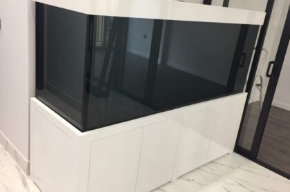 Bể Cá Rồng Mẫu Hiện Đại Thi Công Tại Phố Huế