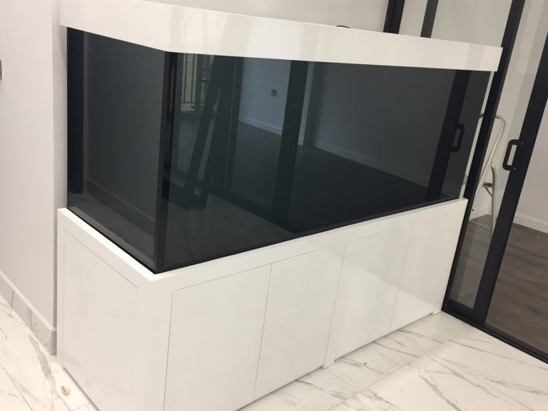 Bể Cá Rồng Mẫu Hiện Đại Thi Công Tại Phố Huế