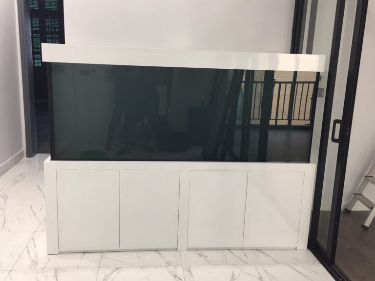 Bể Cá Rồng Mẫu Hiện Đại Thi Công Tại Phố Huế