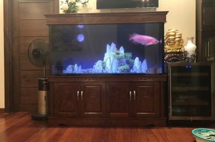 Bể Cá Rồng Gỗ Hương – Thi Công Tại Trần Duy Hưng Hà Nội