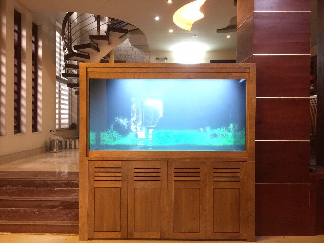 Bể cá Rồng Thi Công Tại Sóc Sơn – Hà Nội