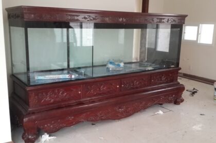 Bể Cá Chân Quỳ Gía Tốt