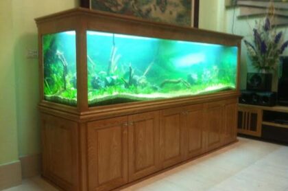 Mẫu Bể Thủy Sinh Gỗ Sồi – Thi Công Tại Thanh Oai