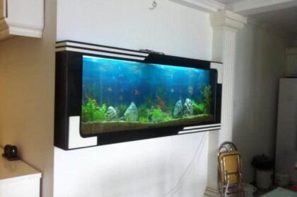 Bể Treo Tường Mẫu Hiện Đại