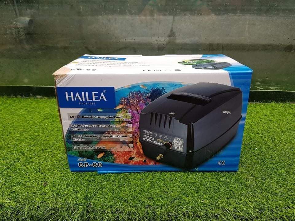 Máy Sủi Khí Tích Điện Hồ Koi Hailea CP 60