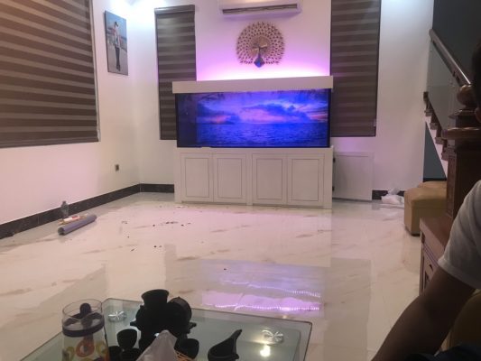 Mẫu Bể Rồng Hiện Đại