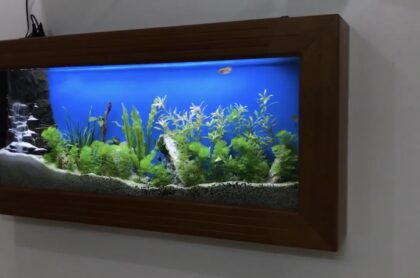 Bể Treo Tường Mẫu Mới