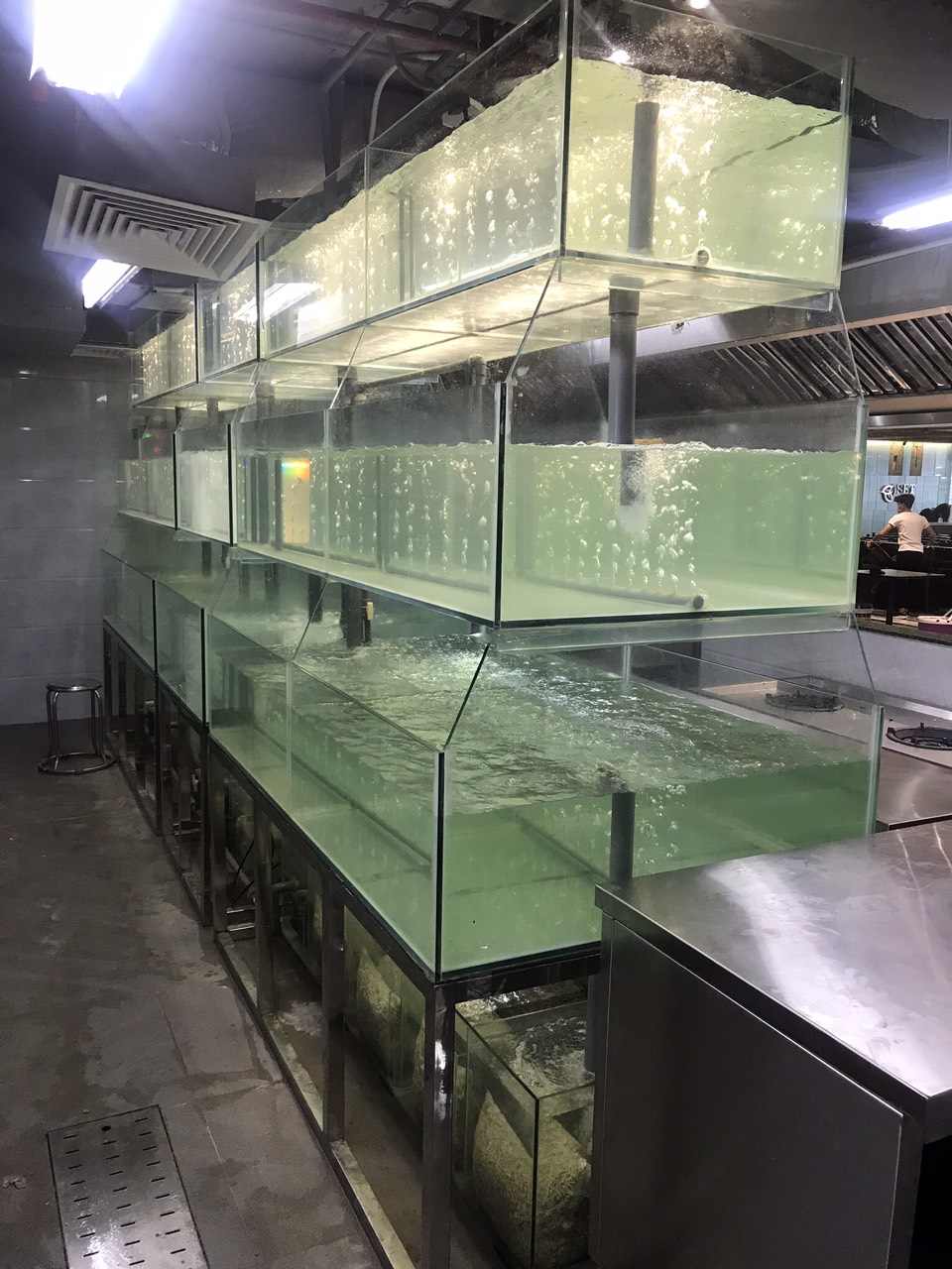 Bể Hải Sản Thi Công Tại Hào Nam – Hà Nội