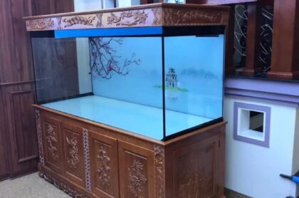 Mẫu Bể Cá Rồng Đục Tứ Qúy